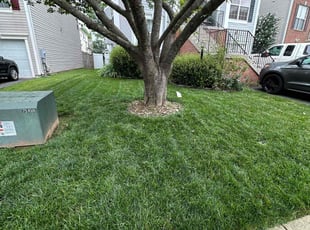 Shawna S.'s grass cutting service result