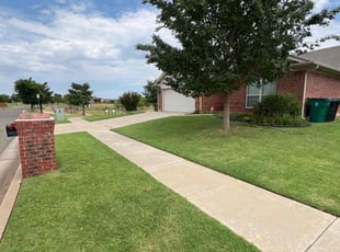 Dirk S.'s lawn care services service result