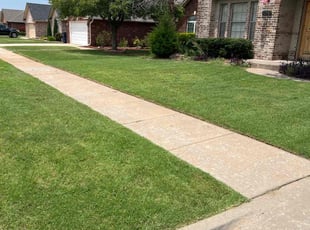 Vinod M.'s lawn service service result