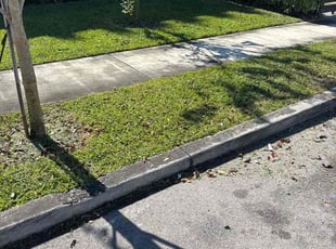 Joshua T.'s grass maintenance service result