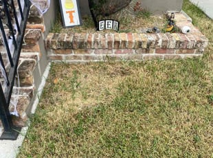 Branden J.'s Bush Trimming service result
