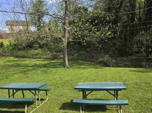 Chad S.'s grass maintenance service result
