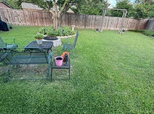 Michael H.'s grass cutting service result