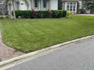 Herbert G.'s lawn care service result