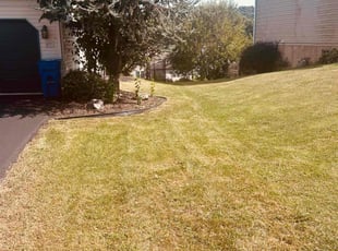 James J.'s lawn maintenance service result