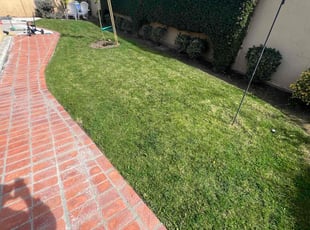 Malika D.'s lawn care services service result