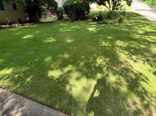 Cassandra B.'s lawn care service result