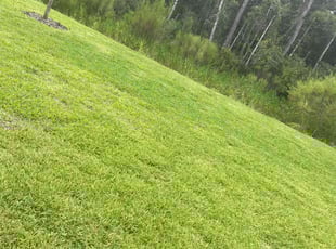 John C.'s grass cutting service result