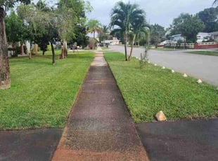 Michael B.'s turf care service result