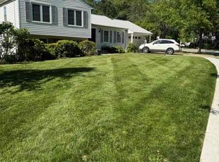 Eliana M.'s lawn service service result