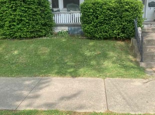 Jeffrey B.'s lawn maintenance service result