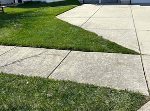 bawi l.'s lawn care services service result