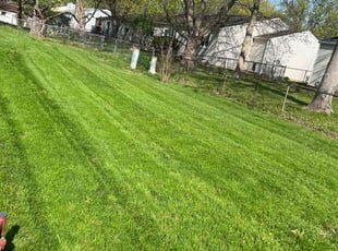 Gilbert B.'s lawn service service result