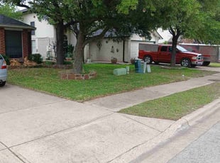Dan B.'s grass cutting service result