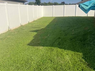 Denise B.'s grass maintenance service result