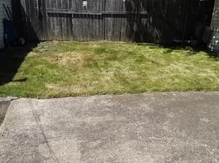 Sikha B.'s Bush Trimming service result