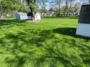 Darryl P.'s lawn care service result