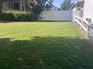 Brandie N.'s lawn care service result