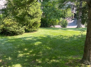 Amanda B.'s lawn maintenance service result