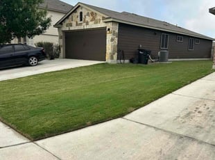 Lorraine D.'s grass cutting service result