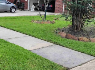 Linda P.'s lawn care service result