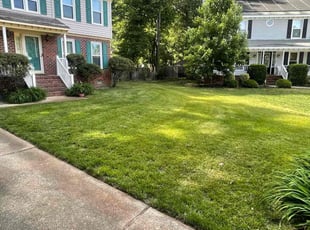 Brandy M.'s lawn care service result