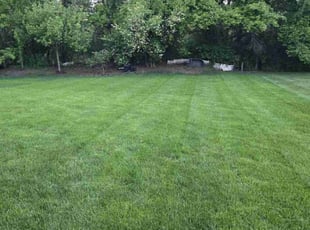 Kenya F.'s lawn maintenance service result