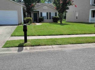 Bernard P.'s turf care service result
