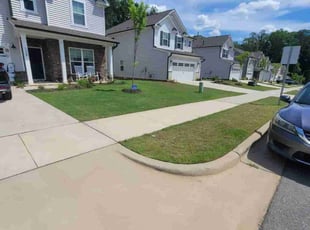 David D.'s lawn care service result