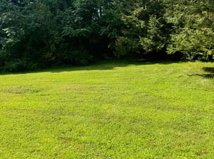 Valencia H.'s lawn service service result