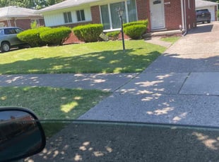 Barbara B.'s lawn care services service result