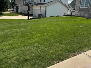 David L.'s lawn care service result