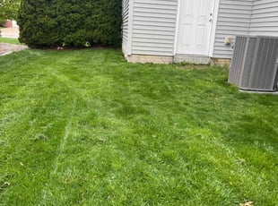 D'Lyn C.'s lawn maintenance service result