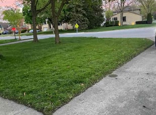 Jennifer M.'s lawn care services service result