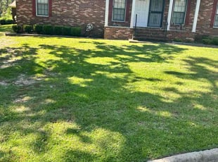 Jeremy H.'s lawn maintenance service result