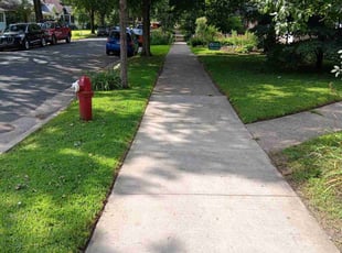 Tam N.'s lawn service service result