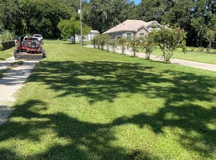 Marte C.'s grass maintenance service result