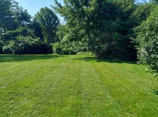 Chaundra N.'s lawn care services service result