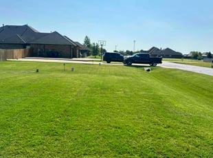 Linda C.'s grass cutting service result