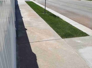 Dennis H.'s turf care service result
