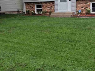 Diane G.'s gardening service service result