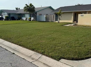 Robert L.'s lawn service service result