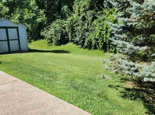 James B.'s grass cutting service result