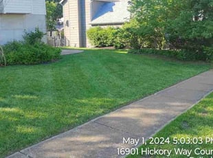 Jason Y.'s turf maintenance service result