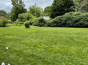 Sarabeth M.'s lawn care services service result