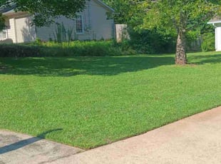 KENDALL T.'s lawn care services service result