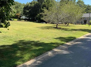 Not C.'s turf care service result