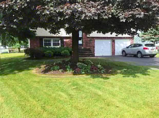 Gary P.'s turf care service result