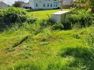 Charlene E.'s Bush Trimming service result
