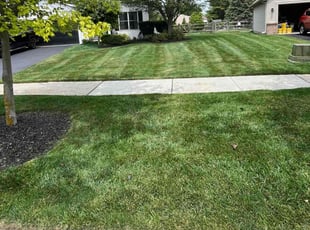Samantha H.'s lawn care services service result